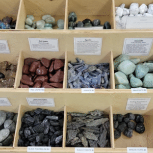 The Enlightened Souls